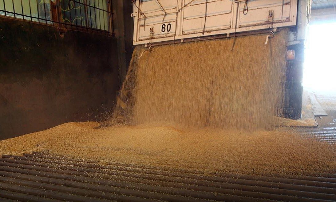 Inminente suba de retenciones a la soja: suspenden registro de exportaciones