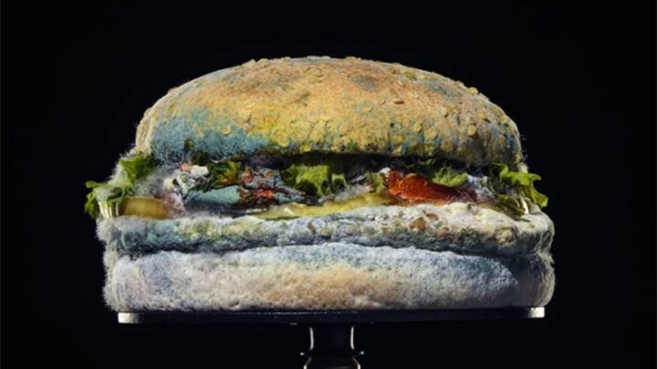 ¿Por qué Burger King ha pasado de anunciar deliciosas hamburguesas a presentar productos mohosos?