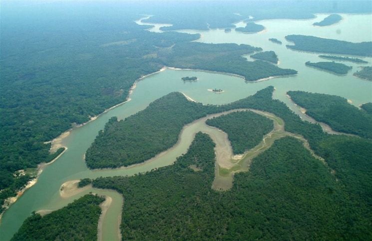 El Amazonas dejará de reducir dióxido de carbono de la atmósfera en 2035