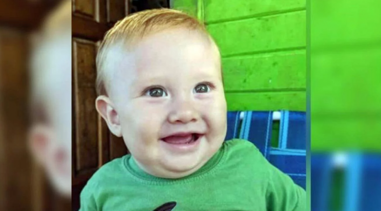 Murió un bebé de 8 meses que comió frutos de un ligustro en Misiones