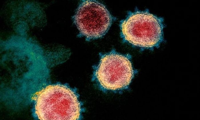 Coronavirus: ¿por qué se contagia tan rápido?