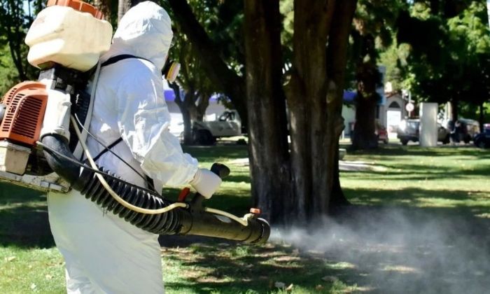 Hubo dos casos de dengue en Río Cuarto y se espera el resultado de uno sospechoso