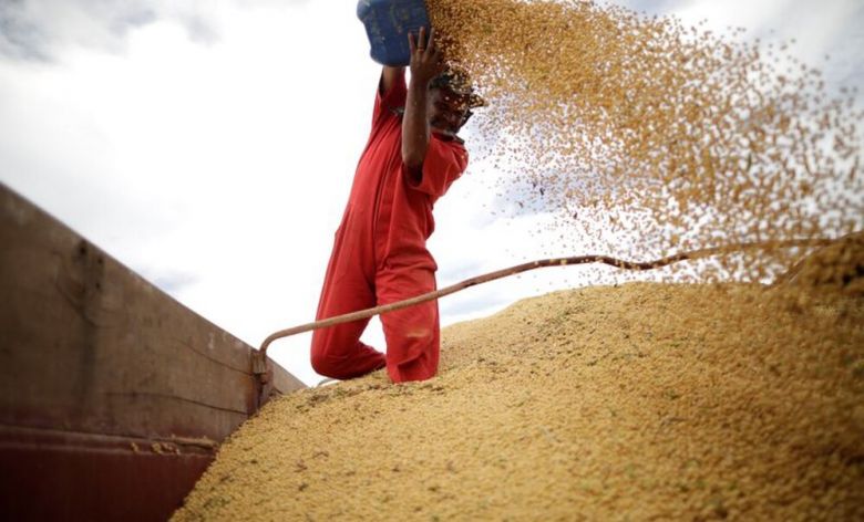 Productores y exportadores retienen el mayor stock de soja de los últimos 8 años a la espera de mejores precios