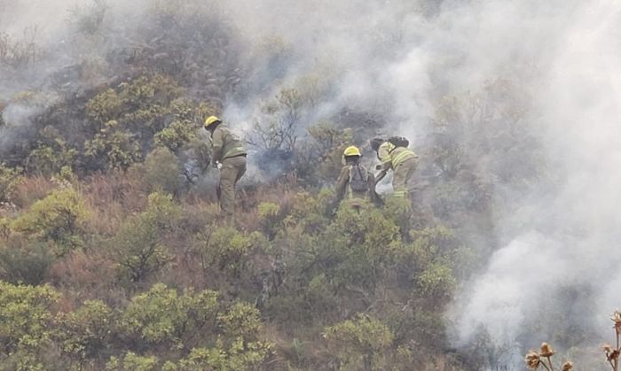 Con apoyo de mulas y un avión, unos 200 bomberos trabajan en el incendio de las sierras de San Luis