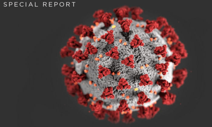 Con ocho nuevos fallecimientos, llegan a 656 las muertes por coronavirus en el país