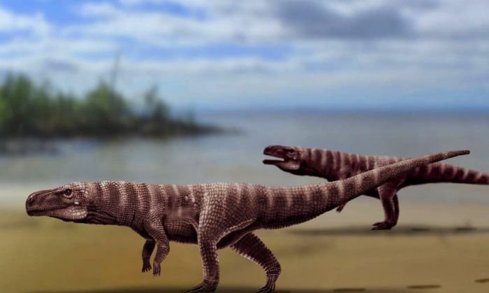 Descubren una especie de cocodrilo que caminaba en dos patas hace 110 millones de años