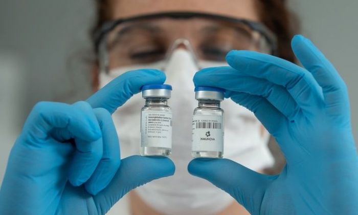 Investigadores argentinos desarrollaron un suero anti COVID-19 que neutralizó el virus