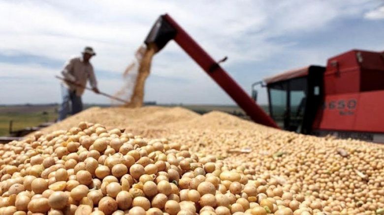 La cosecha de soja arrojó una producción de 49,6 millones de toneladas