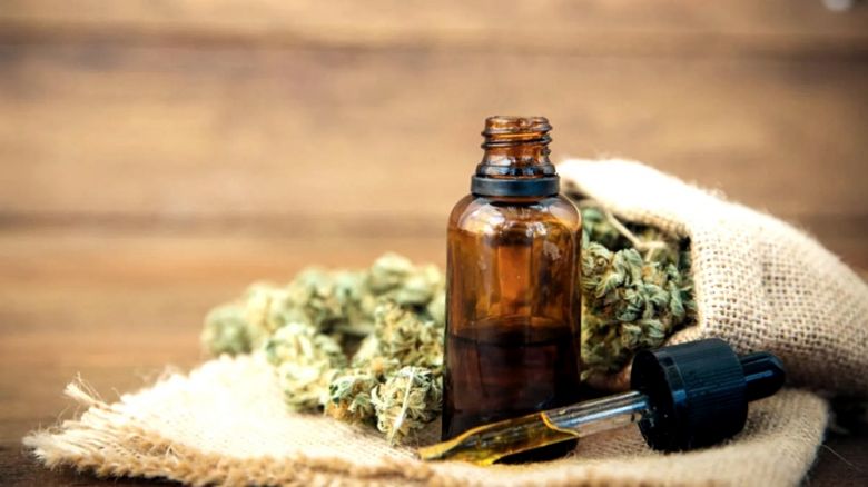 Chubut analiza crear una empresa estatal de producción de cannabis medicinal