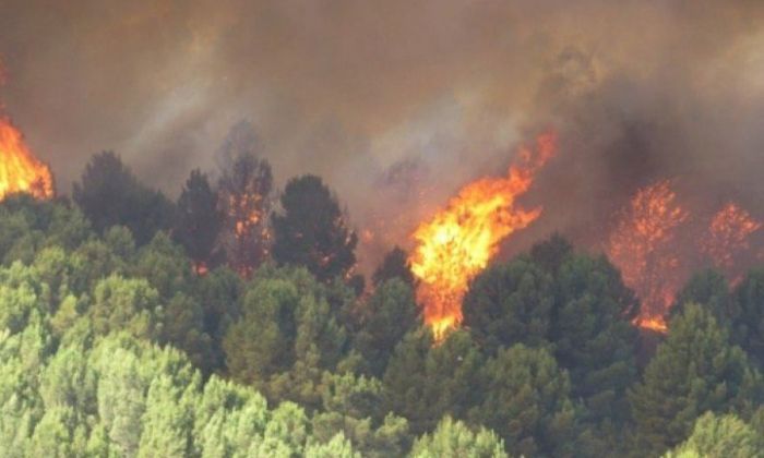 Se incendiaron 30 hectáreas en Alpa Corral 