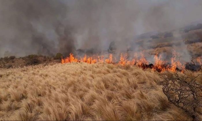 Incendio en la sierras del sur: se acercó peligrosamente al Parque Eólico de Achiras pero fue controlado