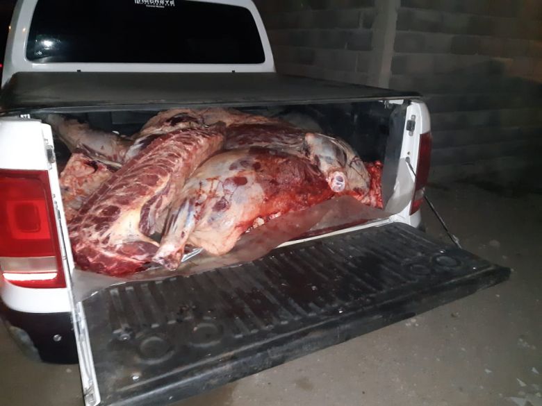 Secuestran cuatro medias res de animales bovinos faenados