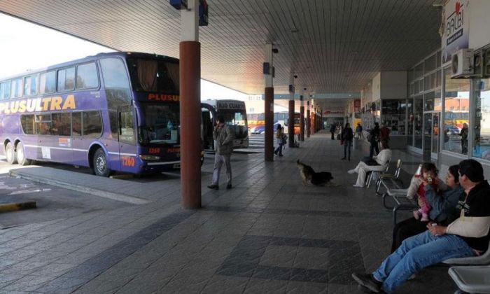 Transporte interurbano: advierten que el servicio podría retornar en octubre