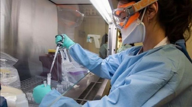 Coronavirus en Argentina: confirmaron 264 nuevas muertes y 11.674 casos en las últimas 24 horas