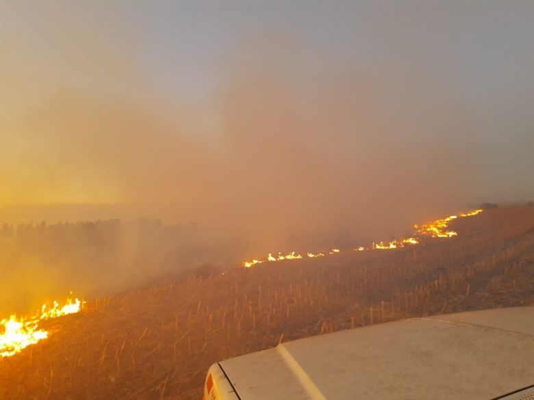 Grave incendio en la zona rural de Gigena