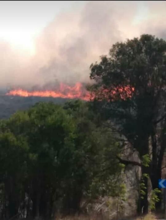Grave incendio rodea Las Albahacas y El Chacay 