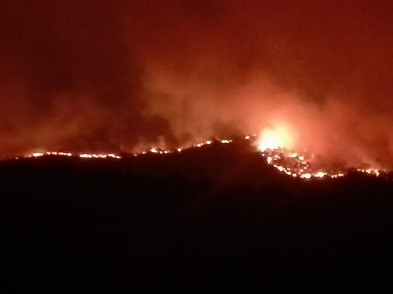 Grave incendio rodea Las Albahacas y El Chacay 