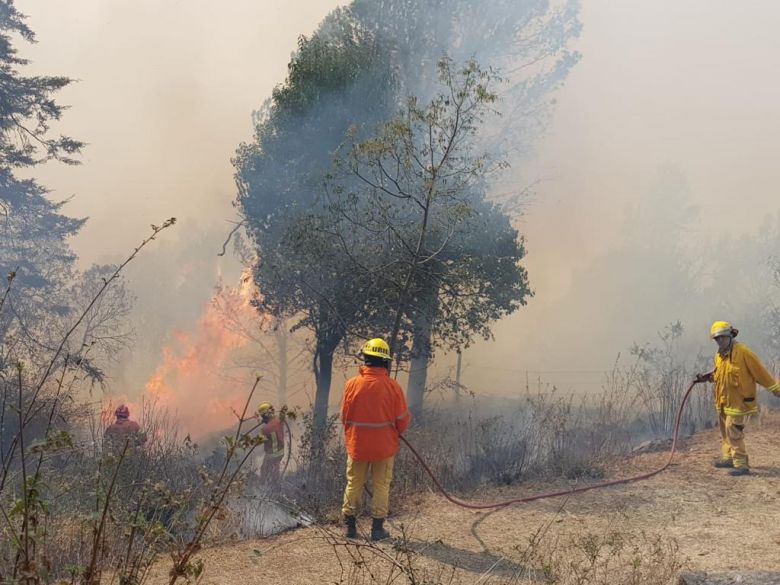 Más de 200 bomberos combaten incendios en Las Albahacas, Alpa Corral y El Chacay