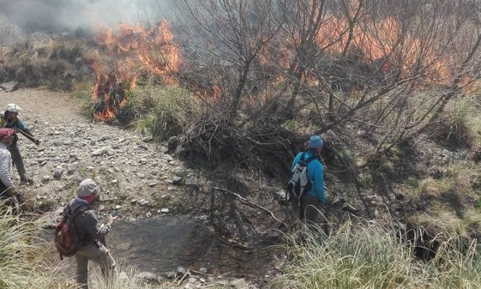 Voluntarios de Las Albahacas que colaboran en la pandemia también se arriesgan contra el fuego