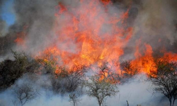El fuego continúa consumiendo forestación en la parte norte de Achiras