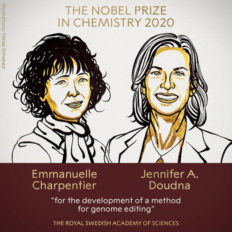 El premio Nobel de Química fue otorgado a Emmanuelle Charpentier y Jennifer Doudna por sus trabajos en edición genética