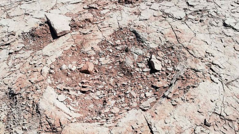Prefectura encuentra huellas de un dinosaurio bípedo en la localidad neuquina de Villa El Chocón