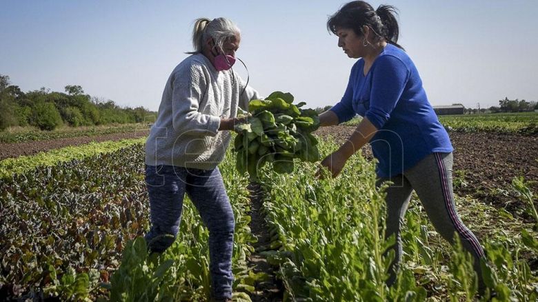 FAO: América Latina necesita incrementar las políticas públicas hacia las mujeres rurales