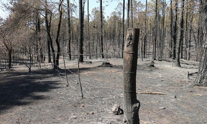 El relevamiento de productores y vecinos afectados por los incendios en el sur continuará hasta el martes