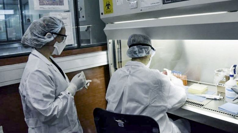 Coronavirus en Argentina: confirmaron 13.510 nuevos contagios y 384 muertes en las últimas 24 horas