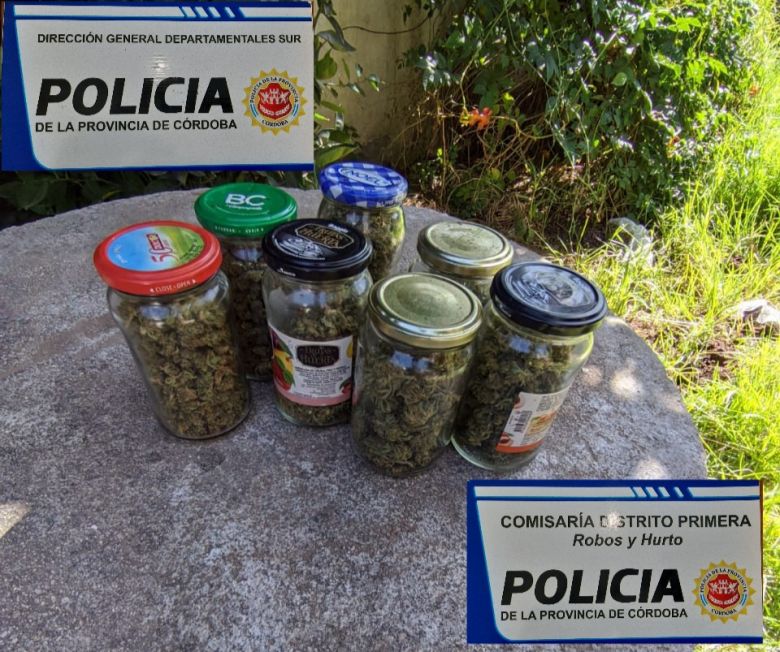 Encontraron varias plantas de marihuana en una vivienda de calle Ayacucho