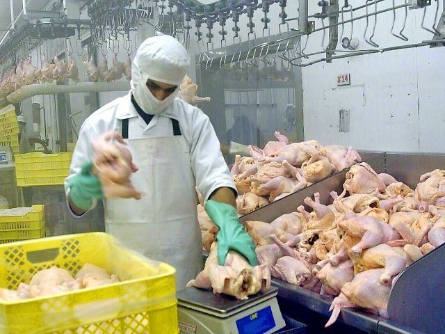 Trabajadores de la carne se movilizan por mejoras salariales