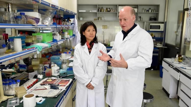 Equipo de la OMS visita el laboratorio de murciélagos chino en el centro de las conspiraciones del coronavirus
