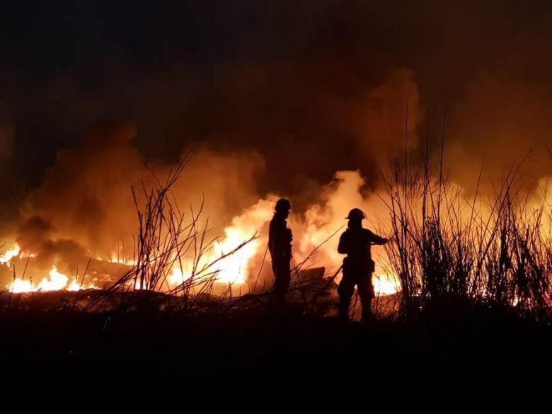 Durante el 2020 se perdió un millón de hectáreas por incendios forestales