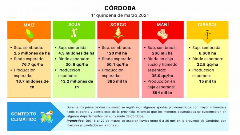 Las últimas lluvias aumentan las estimaciones de toneladas para Córdoba