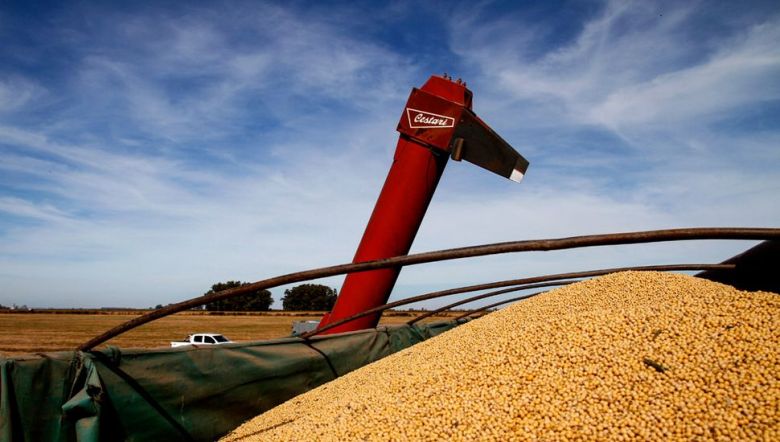 Suba de precios de granos: el productor tiene que mirar, no solamente los mercados nacionales, sino también los internacionales y tomar coberturas