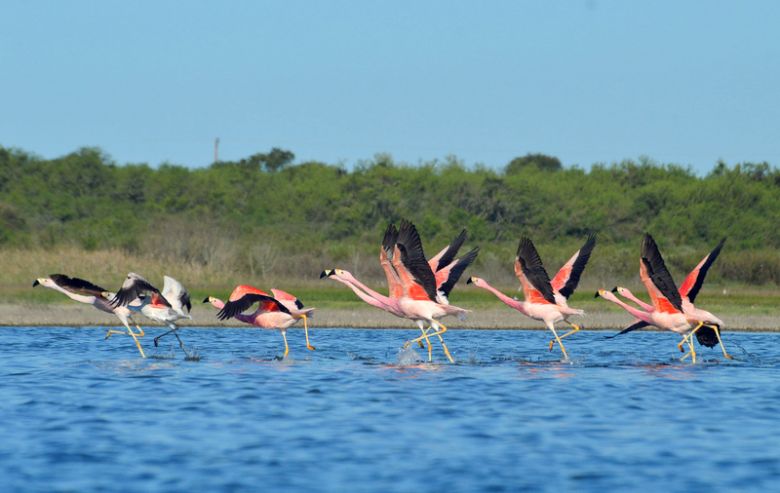 Satisfacción del intendente de Miramar de Ansenuza por la habilitación de la laguna Mar Chiquita como Parque nacional