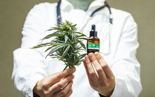 Cannabis medicinal en la provincia de Córdoba: “La receta garantiza que ese medicamento será utilizado para tratamiento”