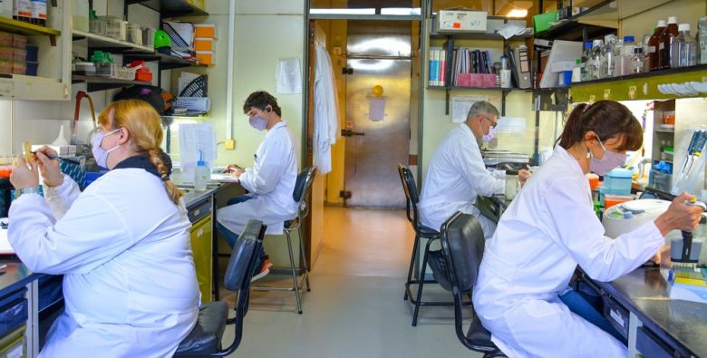 Científicos argentinos avanzan en una vacuna de segunda generación contra el coronavirus