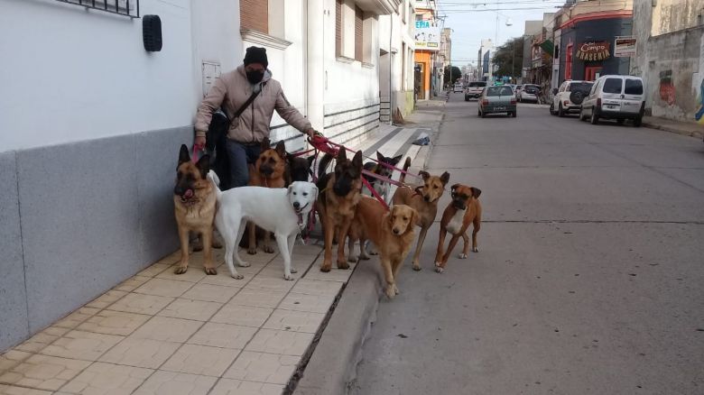 Enrique, el paseador de perros de la ciudad