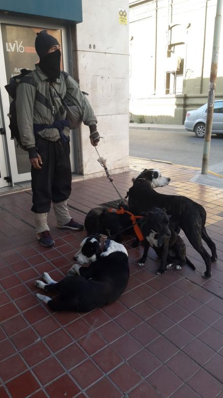 Viajó a dedo desde Neuquén con cinco perros y busca un lugar para vivir 