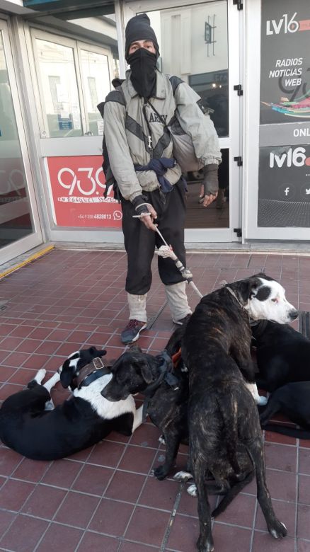 Viajó a dedo desde Neuquén con cinco perros y busca un lugar para vivir 