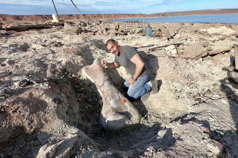 Científicos argentinos hallan restos de un dinosaurio gigante en Neuquén