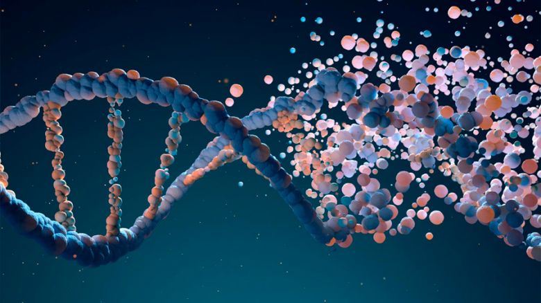Cuatro alucinantes hechos sobre nuestros genes que quizás no sabías