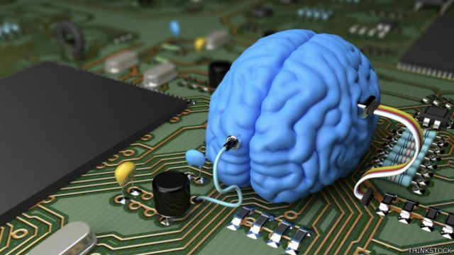 La computadora dentro de todos los humanos: los secretos del sistema nervioso