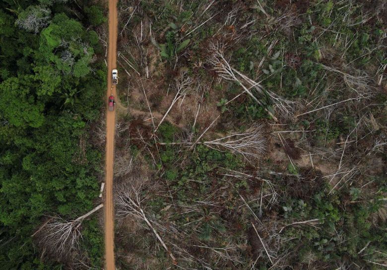 Por primera vez la Amazonía genera más dióxido de carbono del que absorbe