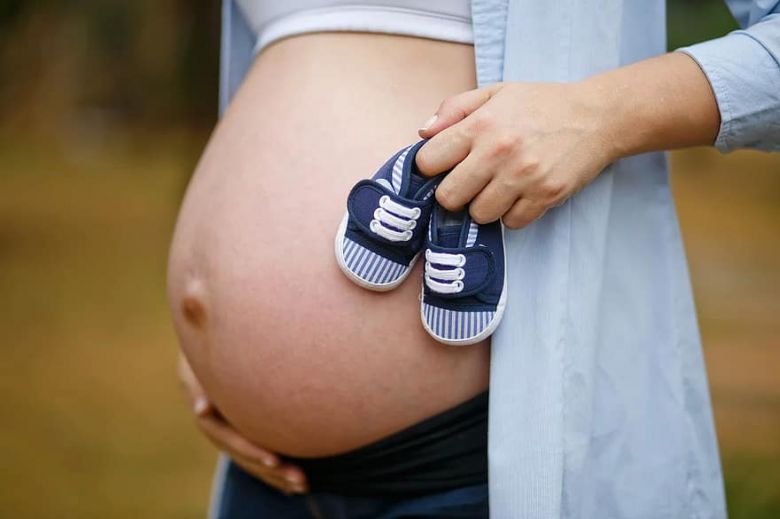 Se presentó el programa de Protección de la Embarazada y Su Bebé