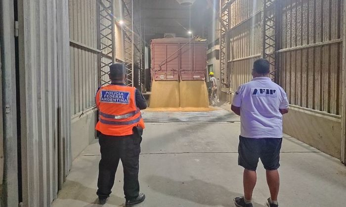 La Policía Federal decomisó 30 toneladas de soja