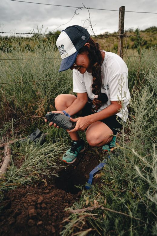 Voluntarios plantaron 550 algarrobos en el sector del Cerro Intihuasi