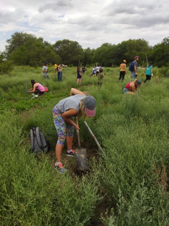 Voluntarios plantaron 550 algarrobos en el sector del Cerro Intihuasi