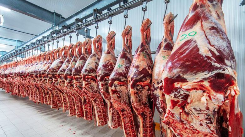 Destacan como un avance la apertura total de exportación de carne de vaca con destino a mercados emergentes